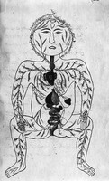 view M0007243: Manuscript illustration of human body, arteries and viscera