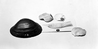 view M0008172: Group of objects showing the development of the lancet