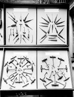 view M0007539: Display of dental instruments