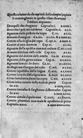 view M0008060: Pope John XXI: <i>Thesaurus Pauperum</i>, 1485