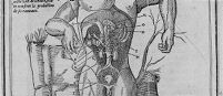 view M0009180: Annotated diagram of the torso, from Estienne: <i>La dissection des parties du corps humain</i>