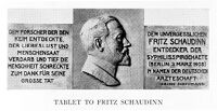 view M0009141: Tablet honouring Fritz Schaudinn (1871-1906)