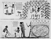 view M0009325: Egyptian painting of vintagers and bird-catchers, 1420-1411 B.C. from the tomb of Nakht (no.52), Thebes