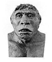 view M0008965: Full face: Restoration of head of Pithecanthropus [Java Man]