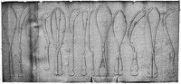 view M0008257: Midwifery forceps, from Mulder: <i>Historia Litteraria et Critica Forcipum</i> (1794)