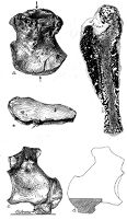 view M0009230: Mesozoic pathology: chronic infections, from Moodie: <i>Paleopathology</i>