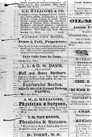 view M0007876: Advertisement in "Garden City Herald", 1868
