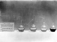 view M0007564: Four flasks containing urine for Lister display