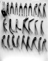 view M0007528: Twenty six dental forceps