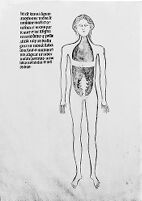 view M0007582A: Manuscript illustration of an anatomical figure from <i>Anothomia Philippi Septimi</i>, 1345