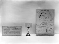 view M0007793: "Glass garden" and observational drawings from Joseph Lister's experiments on the growth of oidium toruloides