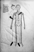 view M0007579B: Manuscript illustration of an anatomical figure from <i>Anothomia Philippi Septimi</i>, 1345