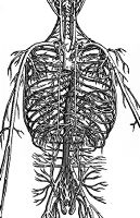 view M0009253: Illustration from Icones Anatomicae, by Vesalius.