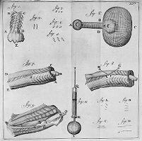 view M0010661: Diagram from Leeuwenhoek: <i>Arcana naturae</i>, 1695
