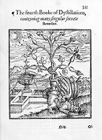 view M0009474: "The fourth Booke of Dystillations", from Gessner: <i>The newe jewell of health</i>, 1576