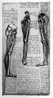 view M0010880: Figure in which the muscles of the leg are represented by cords of wires, Leonardo da Vinci