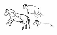 view M0009460: Magdalenian representation of horses, Upper Palaeolithic