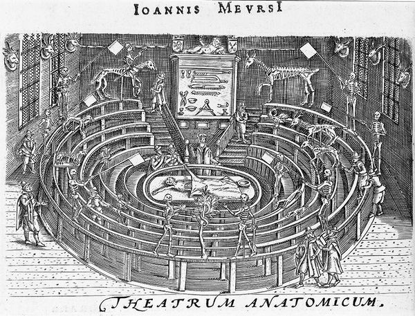 M0010171: Anatomical dissection at Leiden, 1625