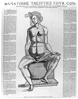 view M0009941: French anatomical fugitive sheet showing a seated female figure