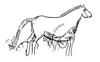 view M0009462: Magdalenian a horse, Upper Palaeolithic