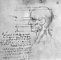 view M0010881: Anatomical drawing of a human head, by Leonardo da Vinci