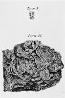 view M0010662: Diagram of the small intestine, from Lieberkuhn: <i>Dissertatio anatomico</i>, 1745