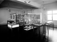 view M0009570: Wellcome Historical Medical Museum: "Prehistoric gallery"