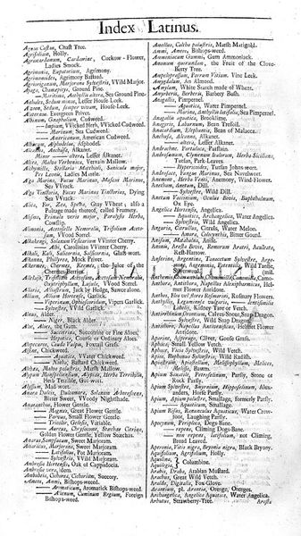 M0010815: Index Latinus: A, from Salmon's herbal, 1710