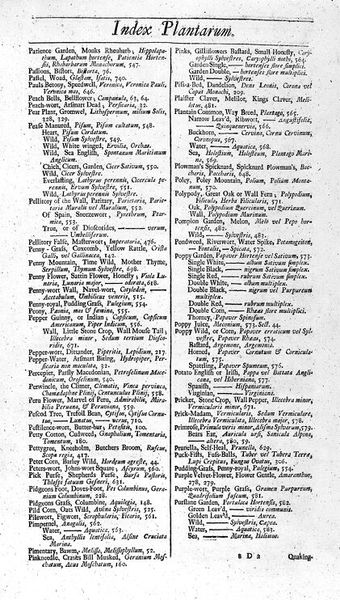 M0010808: Index Planatarum: P, from Salmon's herbal, 1710