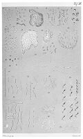 view M0010943: Bacteria from paper by Ferdinand Cohn.