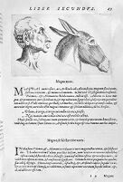 view M0011040: Porta: <i>De humana physiognomonia</i>, 1586: page 67
