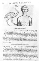 view M0011046: Porta: <i>De humana physiognomonia</i>, 1586: page 136