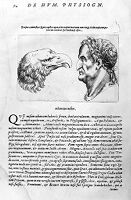 view M0011043: Porta: <i>De humana physiognomonia</i>, 1586: page 74