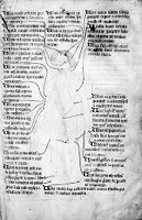 view M0012102: Reproduction of a page of a 15th century manuscript attributed to Matthaeus Platearius (d. 1161)