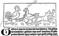 view M0011321: The fox carrying off the cock, from Pergaminus: <i>Dialogus creaturarum</i>, 1480