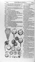 view M0011407: Anatomy of the human eye