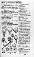 view M0011406: Anatomy of the human eye