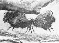 view M0011683: Wall painting at Lascaux, France showing two bison