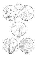 view M0011302: Stercorin and cholesterin crystals