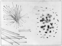 view M0011285: Crystals of Coprosterol, described by W. Marcet