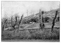view M0011815/M0011815EB: Reproduction of photograph and cross-sectional plan of a Mousterian burial place at La Chapelle-aux-Saints, France, from an unknown publication