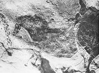 view M0011688: Incised carving on wall at Lascaux showing a horse