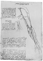 view M0011507: Superficial veins of the arm: plate 10 recto from Leonardo da Vinci: <i>Dell'anatomia, fogli B</i>