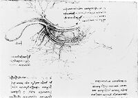 view M0011513: Veins leading from the stomach: plate 22 recto from Leonardo da Vinci: <i>Dell'anatomia, fogli B</i>