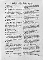 view M0011090: Ruysch: <i>Thesaurus anatomicus primus</i>, 1739-1744: page 88