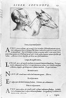 view M0011041: Porta: <i>De humana physiognomonia</i>, 1586: page 69