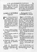 view M0011091: Ruysch: <i>Thesaurus anatomicus primus</i>, 1739-1744: page 89