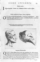 view M0011042: Porta: <i>De humana physiognomonia</i>, 1586: page 73