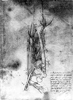 view M0011372: Plate 8 recto from Leonardo da Vinci: <i>Dell'anatomia, fogli B</i>