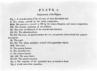 view M0011677: Key accompanying a diagram of the eye by Thomas Young